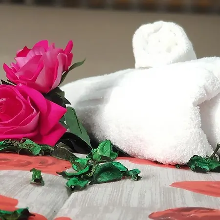 Donn'anna Konukevi 4*